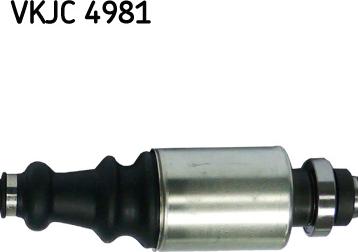 SKF VKJC 4981 - Albero motore/Semiasse www.autoricambit.com