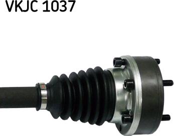 SKF VKJC 1037 - Albero motore/Semiasse www.autoricambit.com