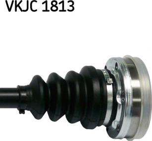 SKF VKJC 1813 - Albero motore/Semiasse www.autoricambit.com