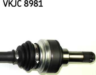 SKF VKJC 8981 - Albero motore/Semiasse www.autoricambit.com