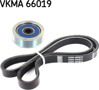 SKF VKMA 66019 - Kit Cinghie Poly-V www.autoricambit.com
