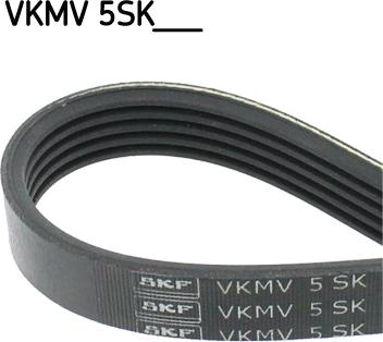 SKF VKMV 5SK926 - Cinghia Poly-V www.autoricambit.com