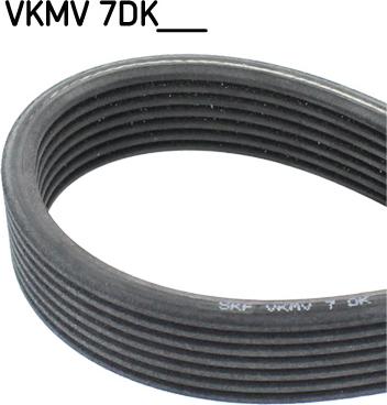 SKF VKMV 7DK1360 - Cinghia Poly-V www.autoricambit.com