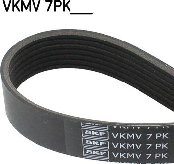 SKF VKMV 7PK1085 - Cinghia Poly-V www.autoricambit.com