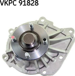 SKF VKPC 91828 - Pompa acqua www.autoricambit.com