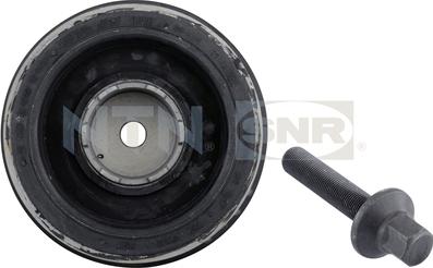 SNR DPF350.01K1 - Puleggia cinghia, Albero a gomiti www.autoricambit.com