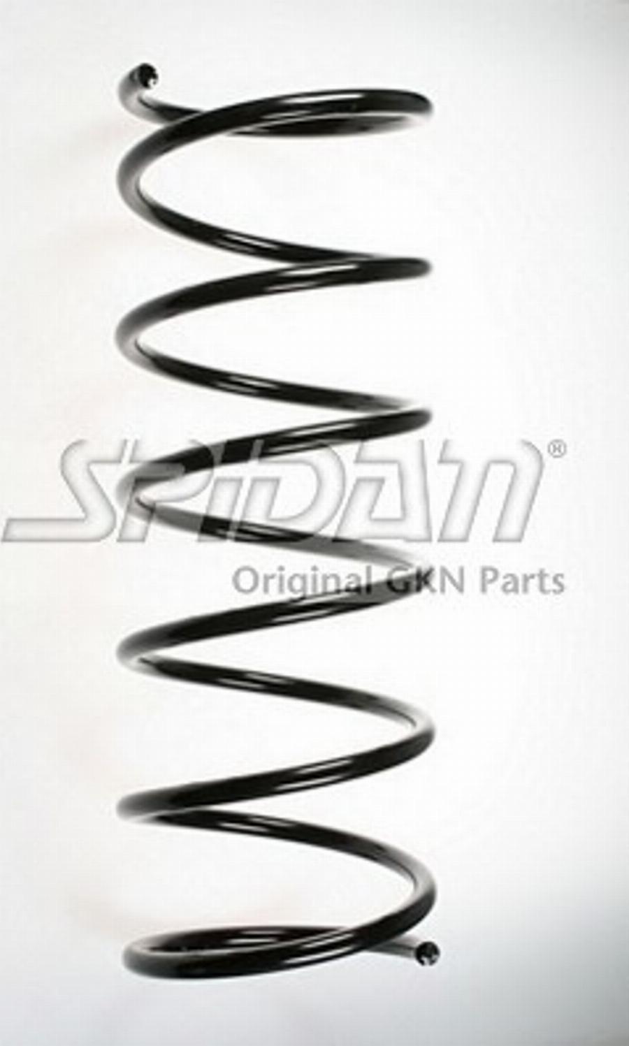 Spidan 49043 - Molla autotelaio www.autoricambit.com