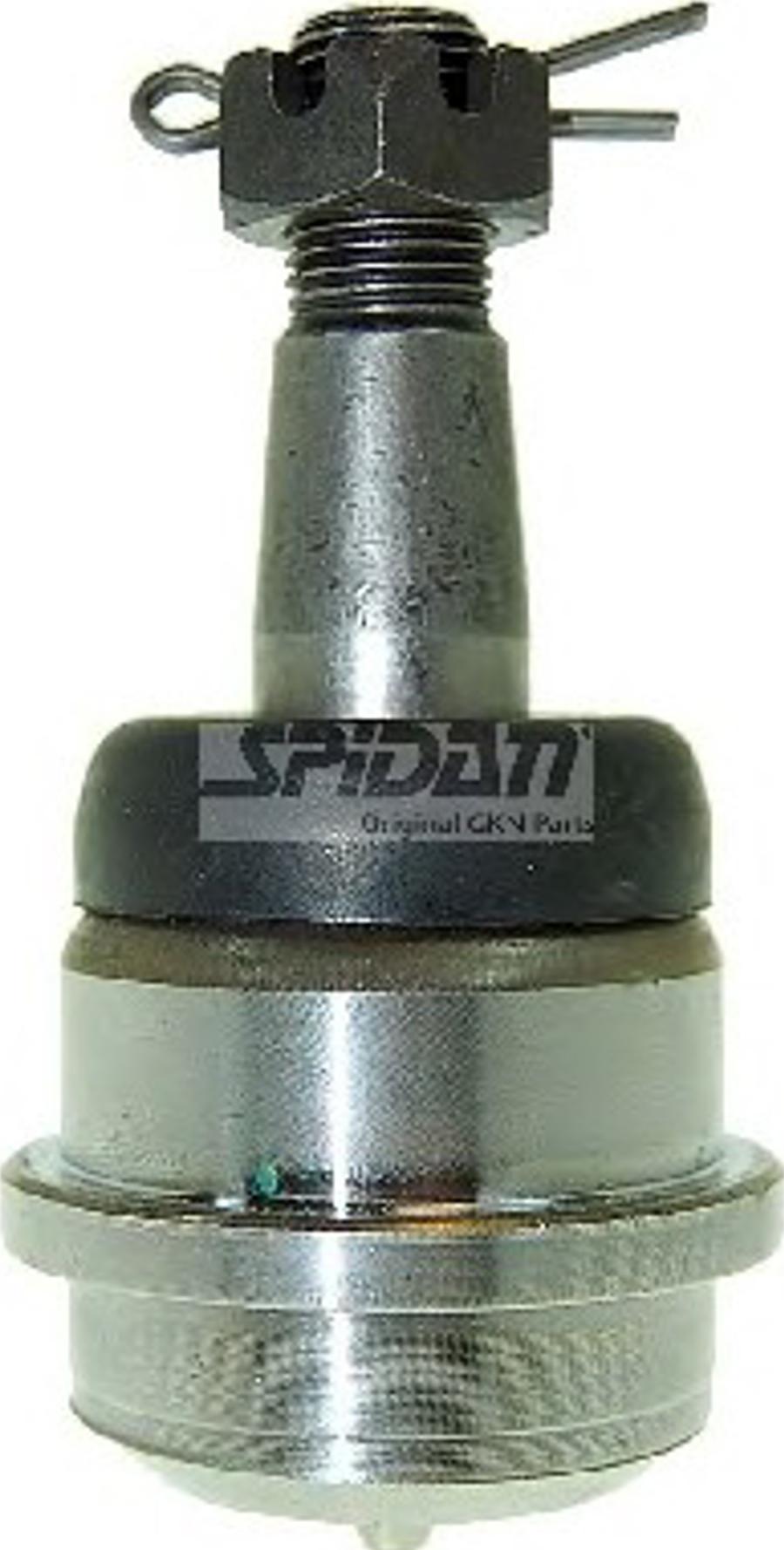 Spidan 50080 - Giunto di supporto / guida www.autoricambit.com