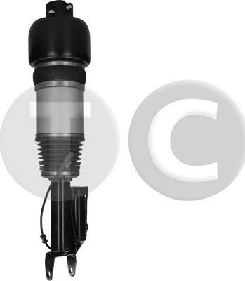 STC T442931 - Gamba elastica con ammortiz. pneumatico www.autoricambit.com