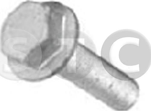 STC T402255 - Bullone puleggia www.autoricambit.com