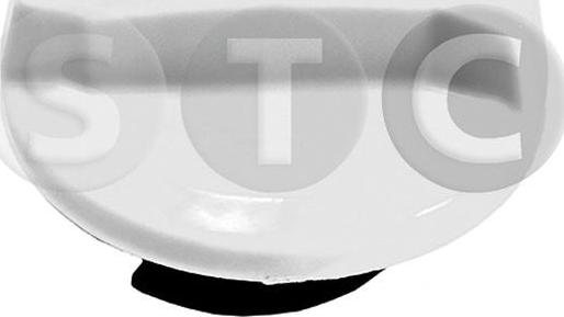 STC T439000 - Chiusura, bocchettone riempimento olio www.autoricambit.com