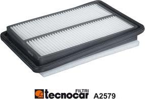 Tecnocar A2579 - Filtro aria www.autoricambit.com