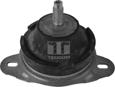 Tedgum 00514176 - Sospensione, Motore www.autoricambit.com