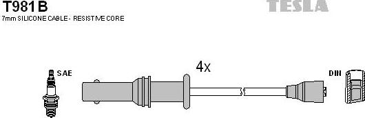 TESLA T981B - Kit cavi accensione www.autoricambit.com