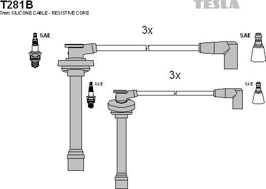 TESLA T281B - Kit cavi accensione www.autoricambit.com