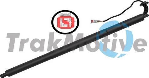 TrakMotive 60-0006 - Motore elettrico, Cofano posteriore www.autoricambit.com