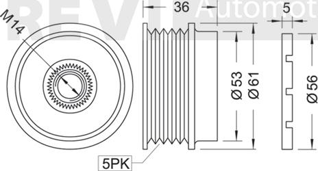 Trevi Automotive AP1005 - Puleggia cinghia, Alternatore www.autoricambit.com