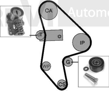 Trevi Automotive KD1016 - Kit cinghie dentate www.autoricambit.com