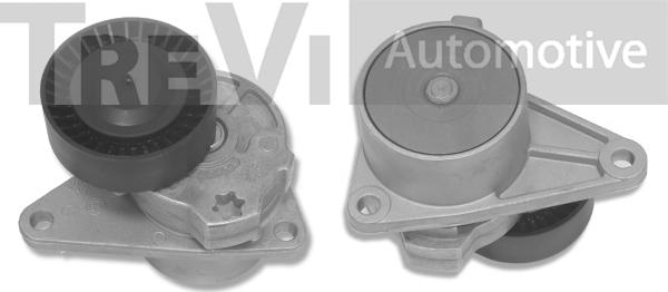 Trevi Automotive TA1425 - Tendicinghia, Cinghia Poly-V www.autoricambit.com