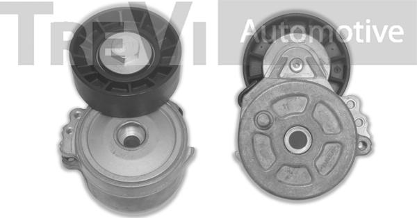 Trevi Automotive TA1663 - Tendicinghia, Cinghia Poly-V www.autoricambit.com