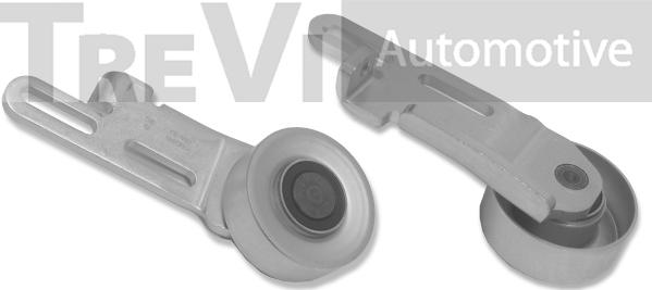 Trevi Automotive TA1061 - Galoppino/Guidacinghia, Cinghia Poly-V www.autoricambit.com