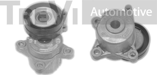 Trevi Automotive TA1165 - Tendicinghia, Cinghia Poly-V www.autoricambit.com