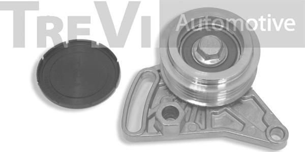 Trevi Automotive TA1170 - Galoppino/Guidacinghia, Cinghia Poly-V www.autoricambit.com