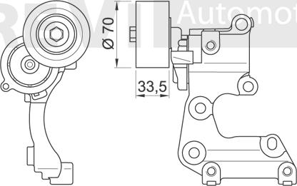 Trevi Automotive TA2057 - Tendicinghia, Cinghia Poly-V www.autoricambit.com