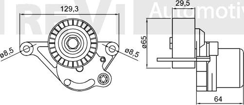 Trevi Automotive TA2022 - Tendicinghia, Cinghia Poly-V www.autoricambit.com