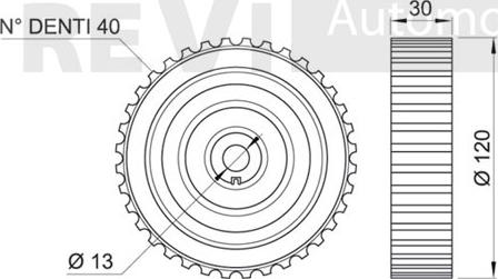 Trevi Automotive TD1645 - Galoppino/Guidacinghia, Cinghia dentata www.autoricambit.com