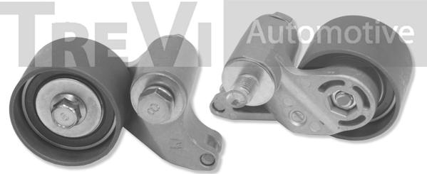 Trevi Automotive TD1669 - Rullo tenditore, Cinghia dentata www.autoricambit.com