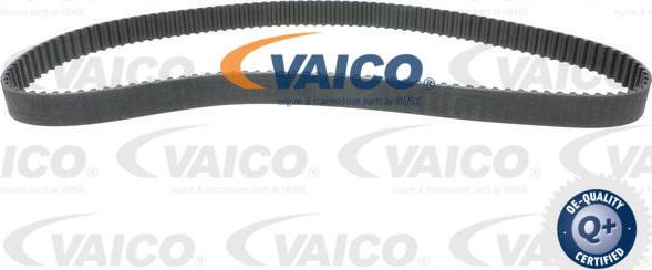 VAICO V46-50024-BEK - Pompa acqua + Kit cinghie dentate www.autoricambit.com