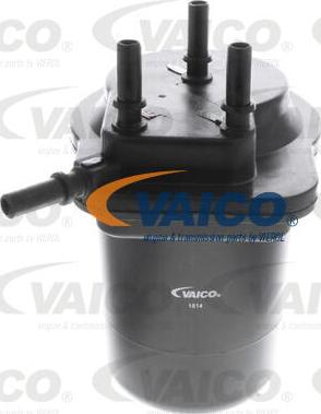 VAICO V46-0033 - Filtro carburante www.autoricambit.com