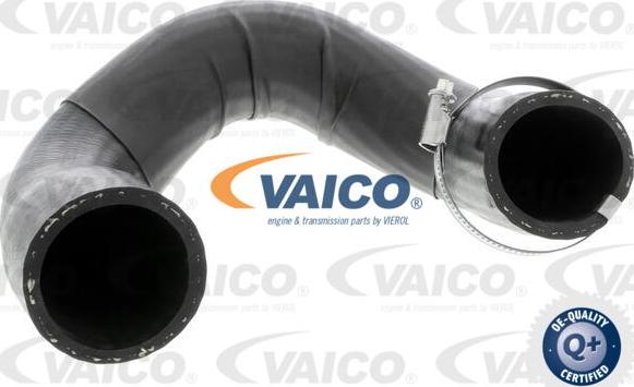 VAICO V46-0849 - Flessibile aria alimentazione www.autoricambit.com