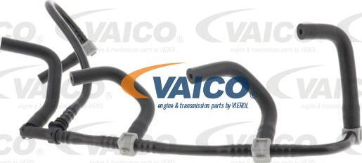 VAICO V46-1344 - Flessibile, Carburante perso www.autoricambit.com