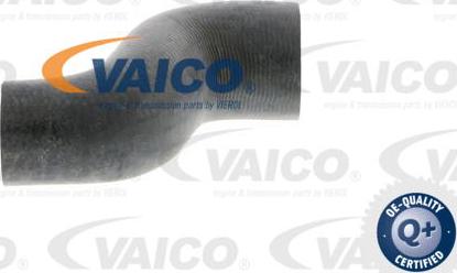 VAICO V40-0370 - Flessibile radiatore www.autoricambit.com