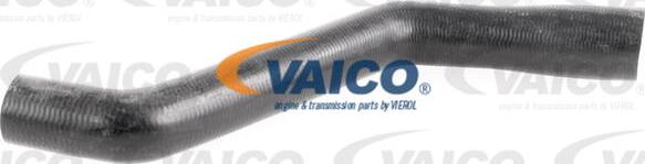 VAICO V40-1162 - Flessibile radiatore www.autoricambit.com