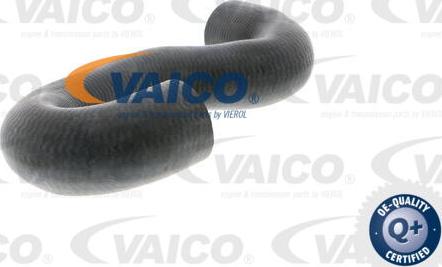 VAICO V40-1336 - Flessibile radiatore www.autoricambit.com