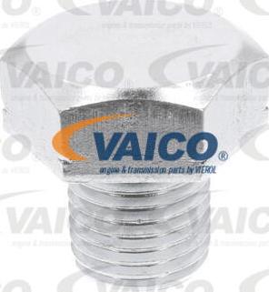 VAICO V40-2054 - Vite di chiusura, vaschetta dell'olio www.autoricambit.com