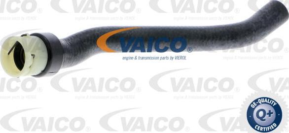 VAICO V40-2006 - Flessibile radiatore www.autoricambit.com