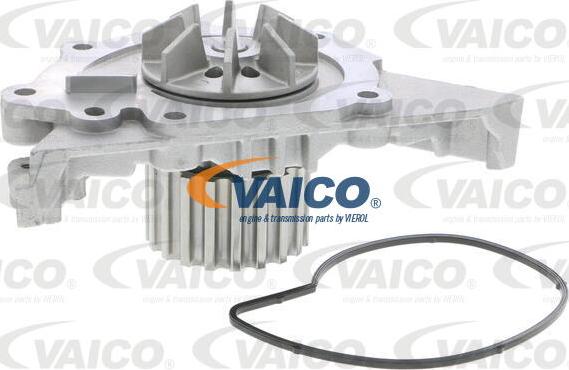 VAICO V42-50000 - Pompa acqua www.autoricambit.com