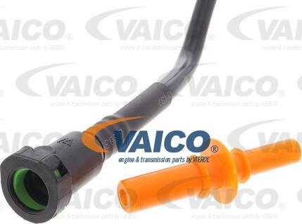 VAICO V42-0960 - Condotto carburante www.autoricambit.com