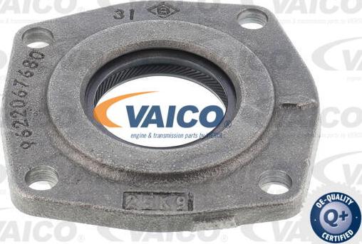 VAICO V42-0916 - Paraolio, Albero primario www.autoricambit.com