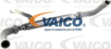 VAICO V42-0448 - Flessibile radiatore www.autoricambit.com