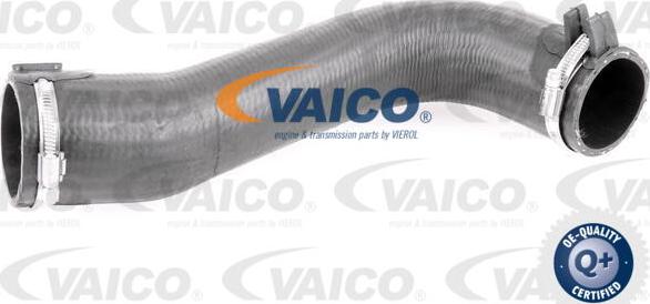 VAICO V42-0584 - Flessibile aria alimentazione www.autoricambit.com