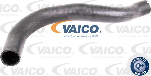 VAICO V42-0610 - Flessibile aria alimentazione www.autoricambit.com
