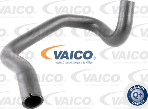 VAICO V42-0639 - Flessibile radiatore www.autoricambit.com