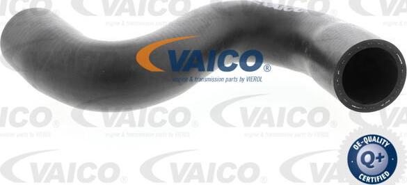 VAICO V42-0635 - Flessibile radiatore www.autoricambit.com