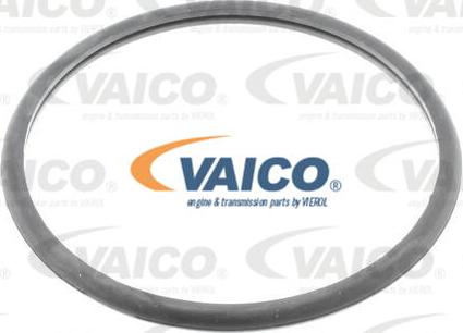 VAICO V42-0008 - Filtro carburante www.autoricambit.com