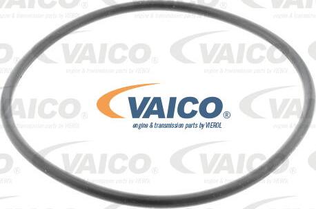 VAICO V42-0013 - Filtro carburante www.autoricambit.com